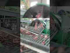 কার্যকর অবিচ্ছিন্ন স্টেইনলেস স্টীল মিষ্টি আলুর ময়দা পেষণ এবং পৃথকীকরণ সরঞ্জাম