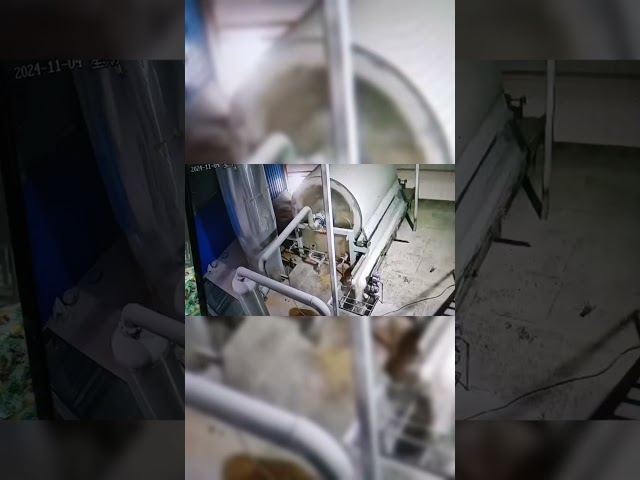 চীন 30Kw মিষ্টি আলু ক্লিনিং ওয়াশিং মেকিং ইকুইপমেন্ট রোটারি ওয়াশার বিক্রির জন্য