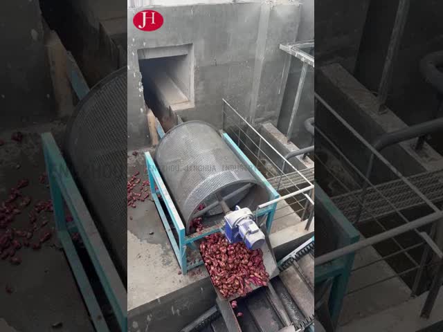 চীন পিএলসি কন্ট্রোল মিষ্টি আলু স্টার্চ প্রসেসর পরিস্কার প্রদান মিলিং প্যাকিং প্রসেসিং প্রকার শিল্প অ্যাপ্লিকেশন জন্য বিক্রির জন্য